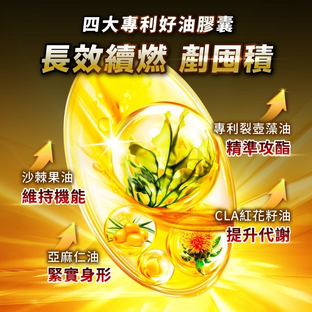 CHOYeR 曲易 極塑魔鬼DX 膠囊(20顆/盒)-細節圖3