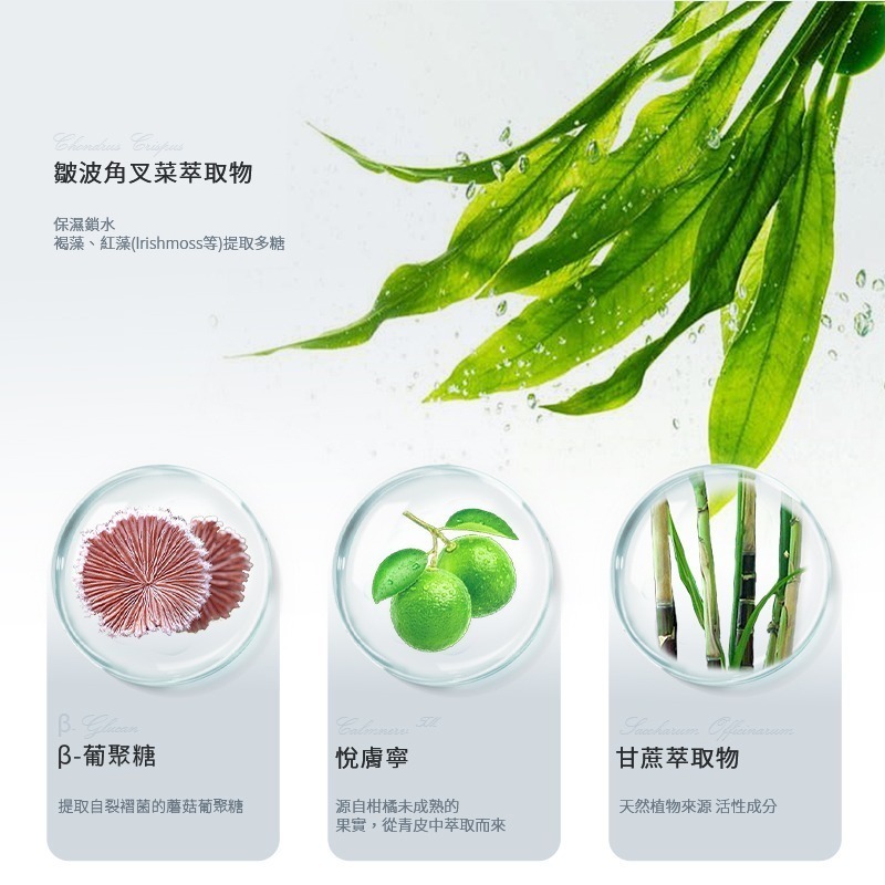 【嬌潤泉】｜【小楊哥&七老闆】臻顏淨透 胺基酸洗面乳｜【二裂酵母】淡紋緊緻次拋精華液【正版全偲代理｜網紅同款VSEA】-細節圖5
