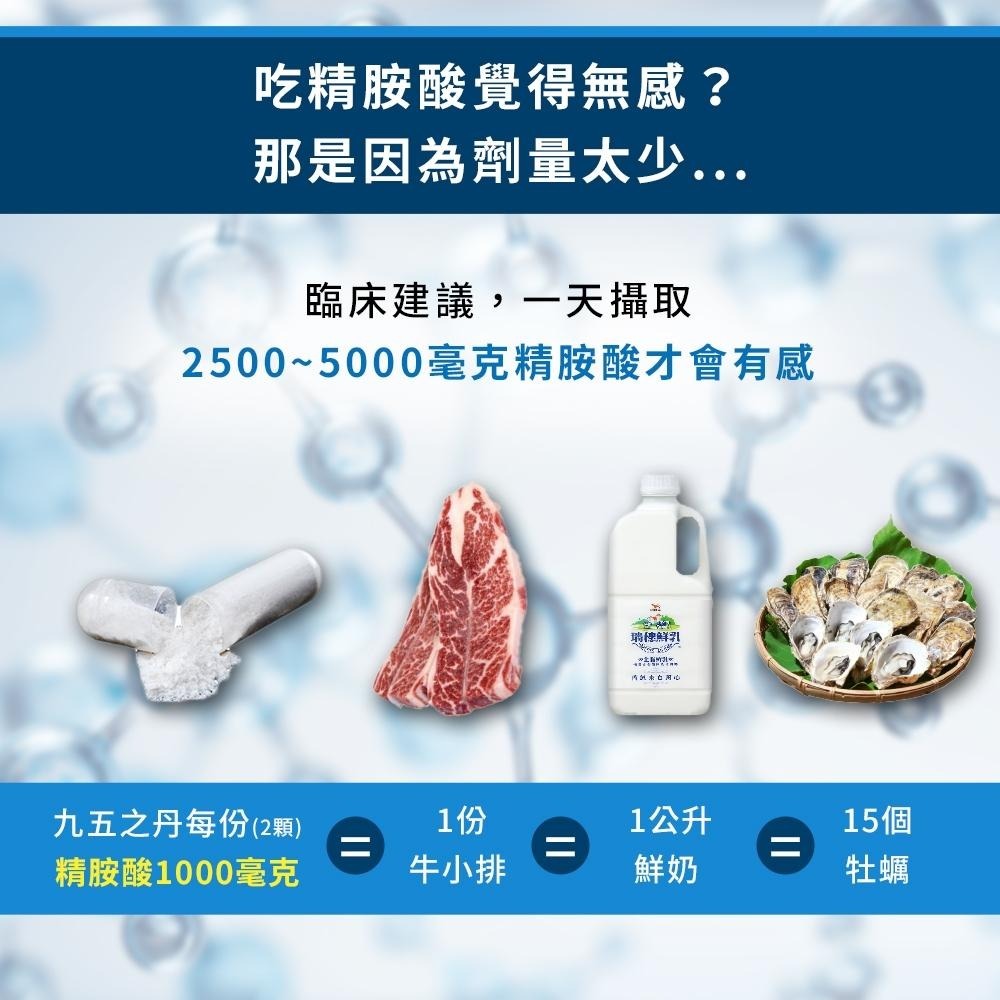 九五之丹│至尊黑瑪卡+酵母鋅／高純度左旋精胺酸／男性保健 精氨酸 馬卡 95之丹 B群 保健食品-細節圖6