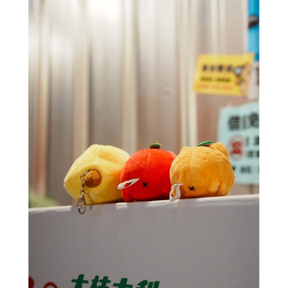 貓貓蟲咖波百味絨毛娃娃/香蕉咖波娃娃/咖波水果娃娃/咖波絨毛娃娃-細節圖3