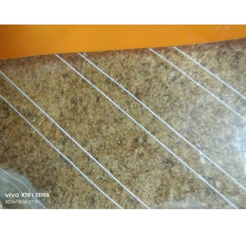 扁魚酥（純肉扁）300g  （15包）整箱優惠賣場-細節圖3