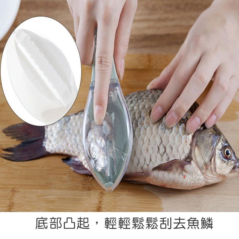 魚形帶蓋刮魚鱗器  刮魚鱗 不噴飛 魚鱗 刮魚鱗神器 帶蓋設計 刮魚鱗器具 刮魚鱗器【60452】-細節圖3