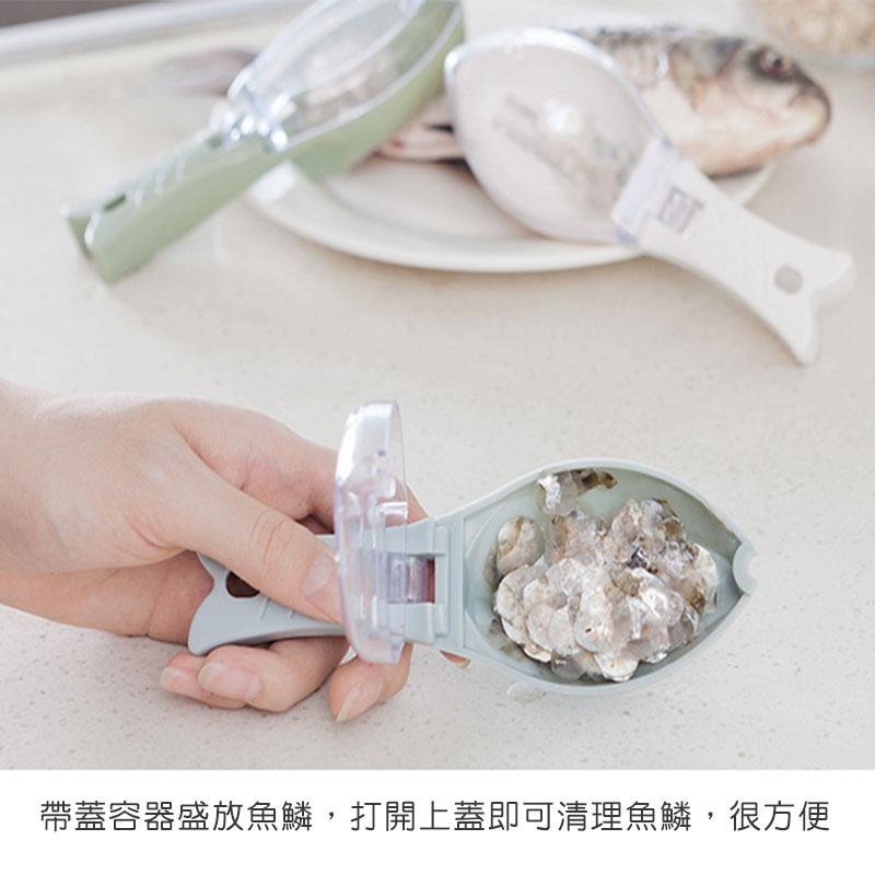 魚形帶蓋刮魚鱗器  刮魚鱗 不噴飛 魚鱗 刮魚鱗神器 帶蓋設計 刮魚鱗器具 刮魚鱗器【60452】-細節圖5