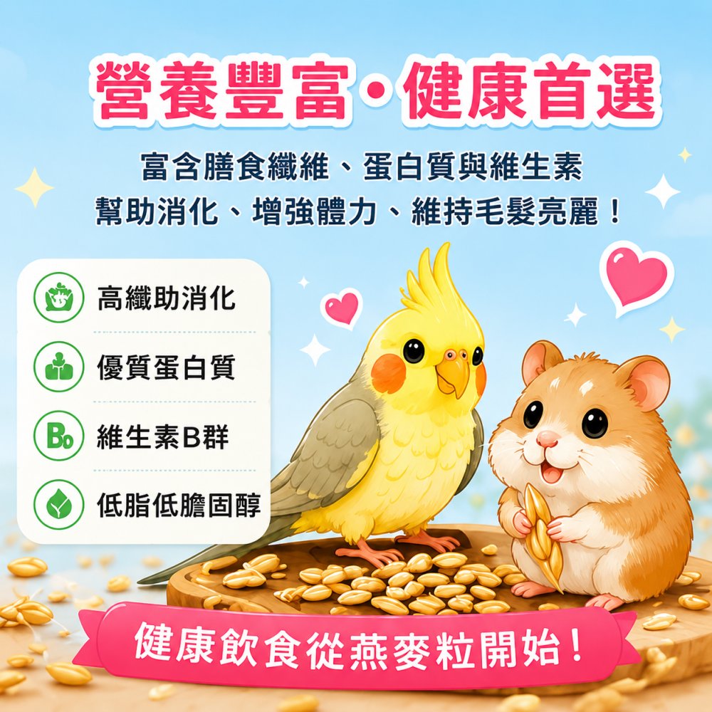燕麥粒 鸚鵡 鳥類零食  鼠類  黃金能量燕麥粒  天然燕麥粒鳥食 高纖穀物補充【20049】-細節圖2