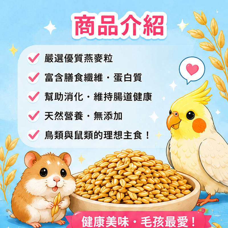 燕麥粒 鸚鵡 鳥類零食  鼠類  黃金能量燕麥粒  天然燕麥粒鳥食 高纖穀物補充【20049】-細節圖5