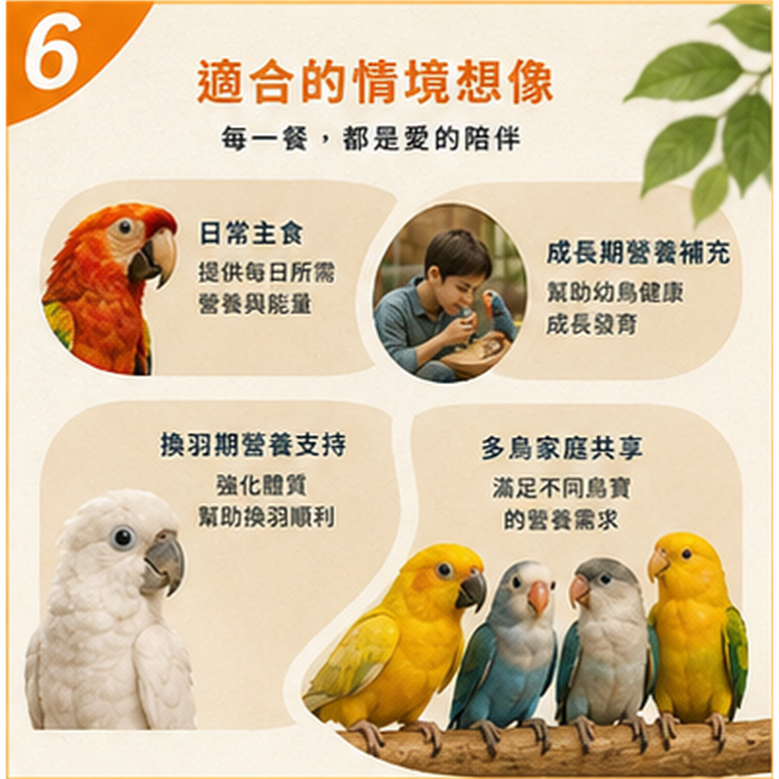 無殼經濟日糧PERFECT 鸚鵡飼料｜全齡均衡營養｜中大型鸚鵡專用｜滋養配方｜1.2kg【20026】-細節圖4