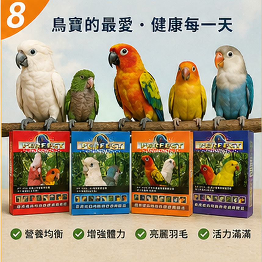 無殼經濟日糧PERFECT 鸚鵡飼料｜全齡均衡營養｜中大型鸚鵡專用｜滋養配方｜1.2kg【20026】-細節圖5