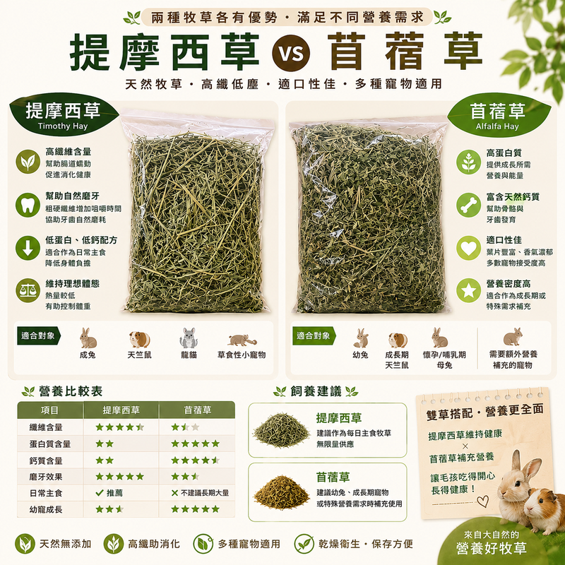 牧草  提摩西草  苜蓿草 天然牧草 兔子草 牧野雙草配 小寵牧草飼料包 美國 幼兔 成兔 天竺鼠 龍貓【20038】-細節圖3