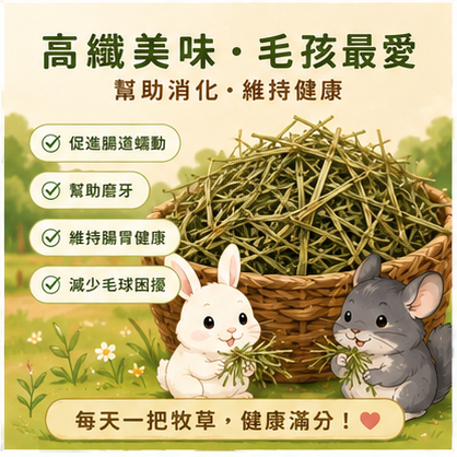 牧草  提摩西草  苜蓿草 天然牧草 兔子草 牧野雙草配 小寵牧草飼料包 美國 幼兔 成兔 天竺鼠 龍貓【20038】-細節圖5