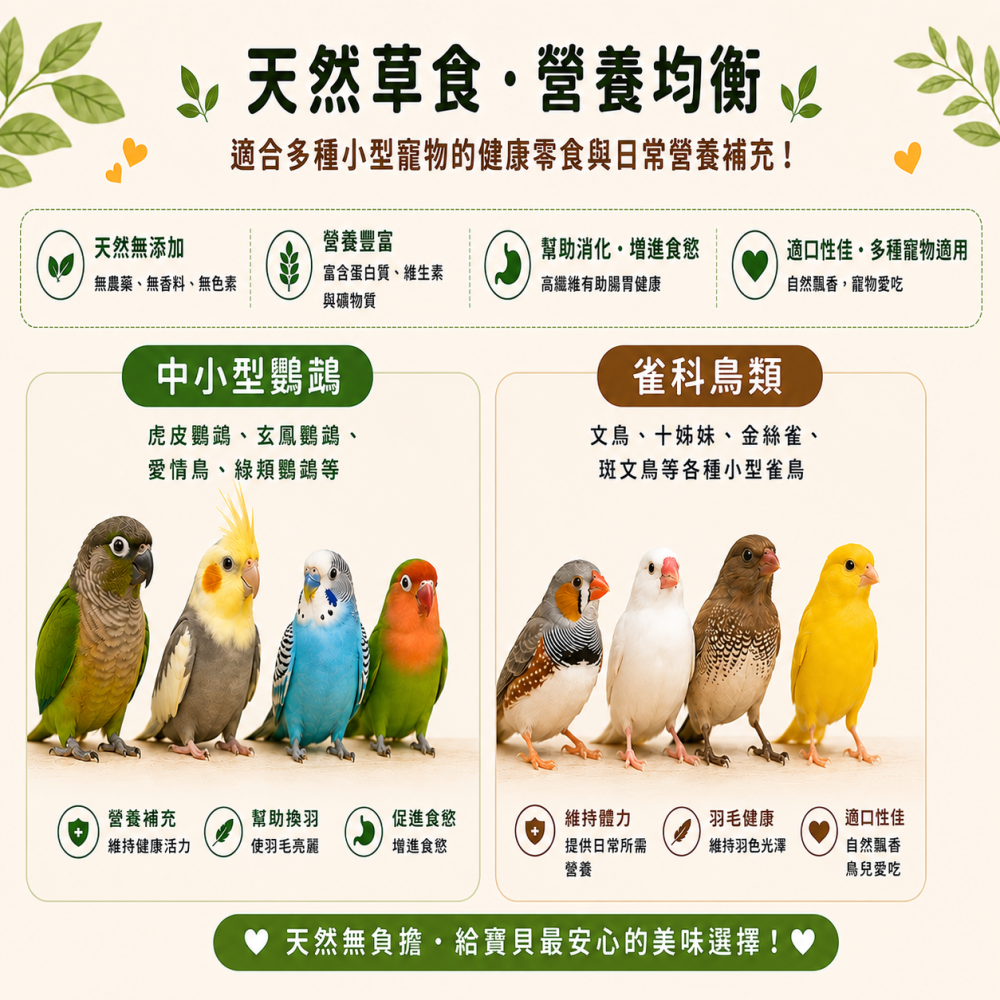 小米穗  帶穗小米 鳥寶最愛啄食零食 天然小米穗 雀鳥零食 磨嘴玩具 鳥飼料 帶穗小米 小鳥磨嘴零食【20037】-細節圖2