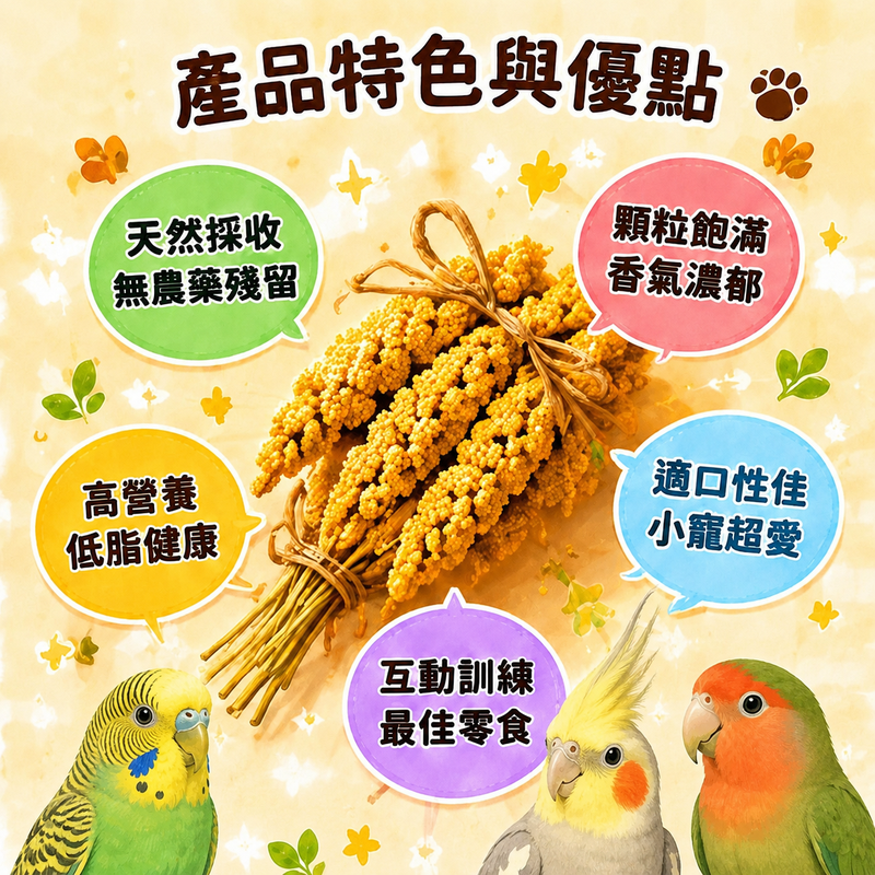 小米穗  帶穗小米 鳥寶最愛啄食零食 天然小米穗 雀鳥零食 磨嘴玩具 鳥飼料 帶穗小米 小鳥磨嘴零食【20037】-細節圖4