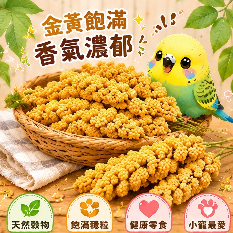 小米穗  帶穗小米 鳥寶最愛啄食零食 天然小米穗 雀鳥零食 磨嘴玩具 鳥飼料 帶穗小米 小鳥磨嘴零食【20037】-細節圖7
