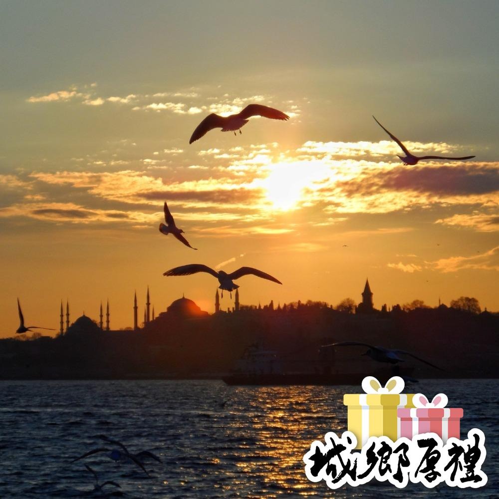 GLOW•韓系女裝·熱銷破千 S-XL現貨 歐膩韓版洋裝 一件式婚禮洋裝 溫柔V領排扣長洋 翻領雪紡洋裝 A2001-細節圖10