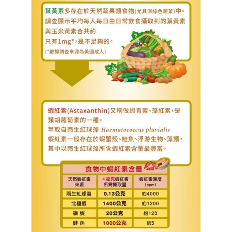 三多 金盞花葉黃素Plus蝦紅素軟膠囊 (50粒/盒)-細節圖4