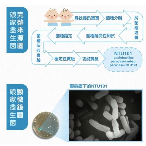 娘家益生菌-6入/盒-細節圖3