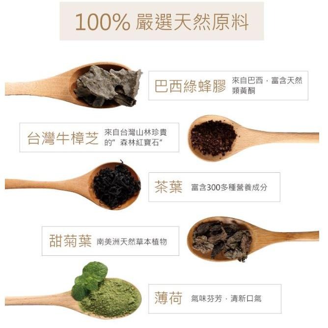 【Oral Fresh 歐樂芬】 天然口腔保健液 漱口水（300ml/600ml）牙周協會專利認證-細節圖3