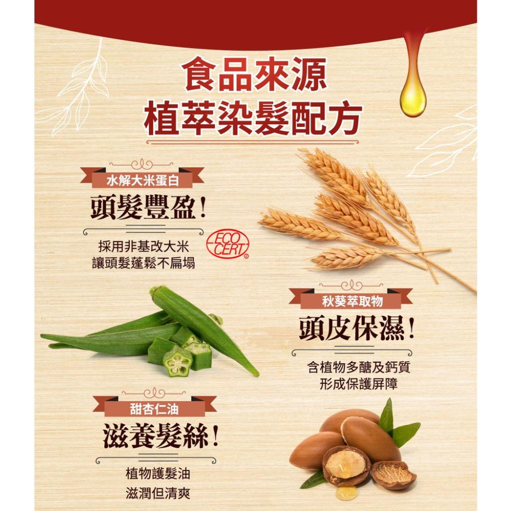 美吾髮 染髮 快速染經濟包 4-自然栗 / 5-深栗 / 6-自然褐 / 7-自然黑-細節圖5