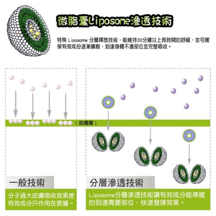 HITOLY喜多麗 葡萄糖胺活力顧節霜12ML / 65ML (涼感外擦/溫感外擦)-細節圖6