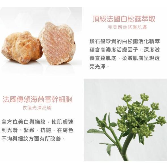 AQUA C.花漾皙 逆時金萃松露無敵霜 30g-細節圖5