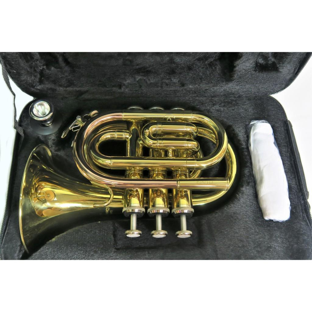 悅荃 TR-P21 小喇叭 袖珍小號 磷銅吹口導管 大喇叭口 噴漆 帆布盒-細節圖3