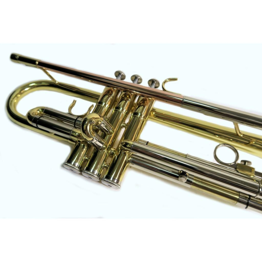 悅荃 TR-31 小喇叭 小號  磷銅吹口導管 噴漆 高級帆布盒-細節圖2