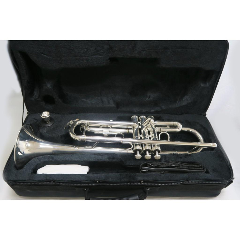 (悅荃)TR-36S 小喇叭 小號 鍍銀 高級帆布盒-細節圖2