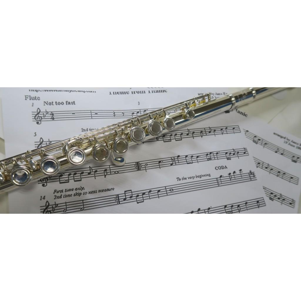 悅荃 出口 歐洲 美國 S.M.I 品牌 長笛 閉孔 曲列 白銅 鍍銀 高級ABS 盒 物超所值-細節圖3