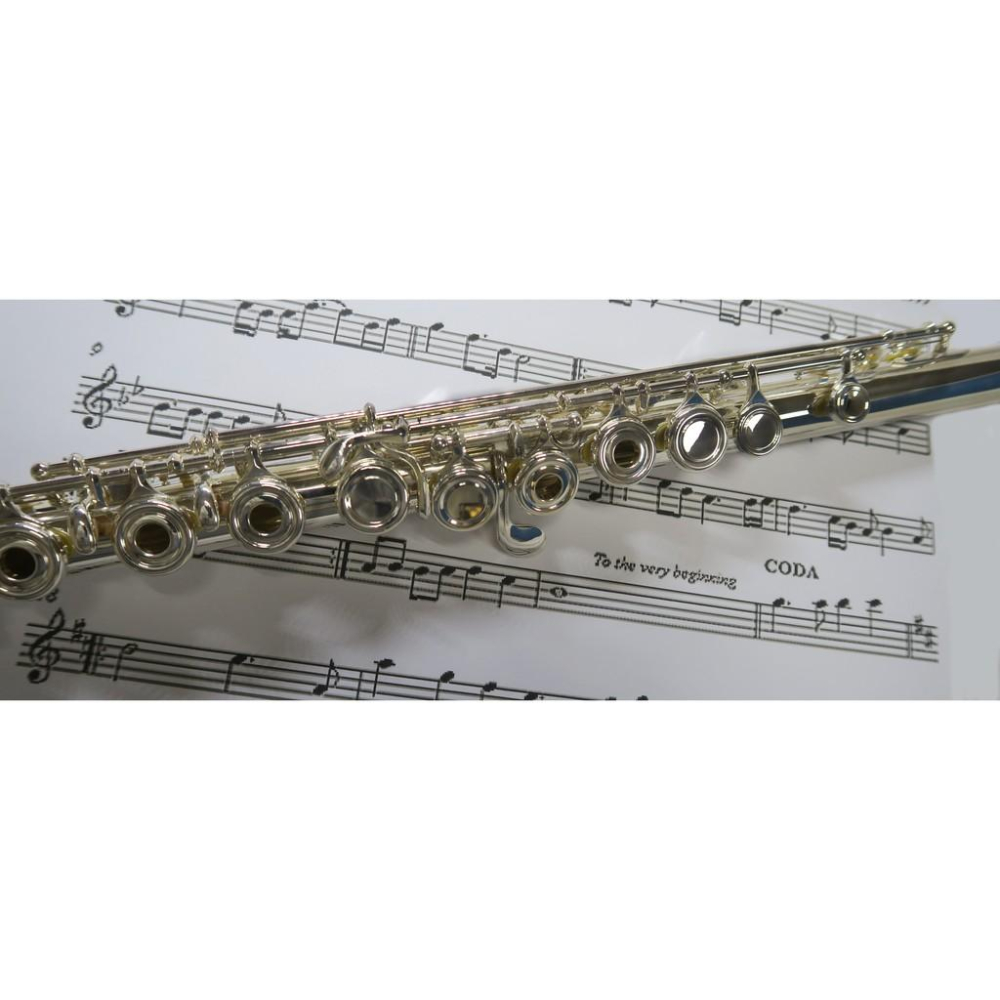 悅荃 出口 歐洲 美國 S.M.I 品牌 長笛 開孔 曲列 帶E鍵 白銅 鍍銀 高級ABS 盒 物超所值-細節圖2