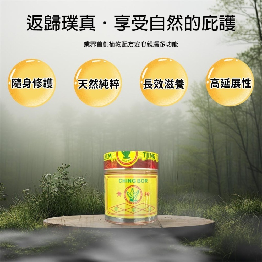 青柏 青草油膏 45ml｜官方旗艦店 台灣生技廠製造 (按摩、指壓、推拿)-細節圖2