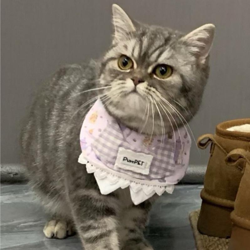 【台灣現貨｜出清特賣】寵物領巾 手作領巾 寵物口水巾 狗狗圍兜 兔子領巾 貓咪領巾 大狗領巾 寵物通用｜VC寵物服飾-細節圖2