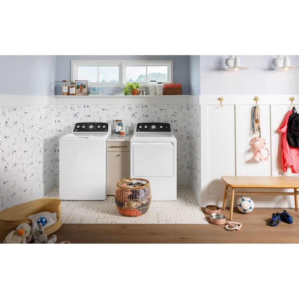 GE 奇異 ( GTW485ASWWB ) 15KG 變頻直立式單槽洗衣機《送基本安裝、舊機回收》-細節圖3