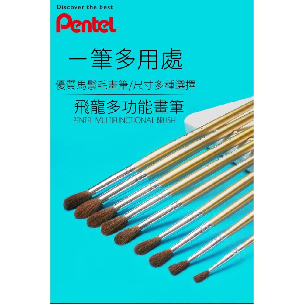 RL生活文具 飛龍 Pentel 台灣產 馬鬃毛水彩畫筆 水粉畫筆 手繪美術 水粉顏料 彩鉛丙烯油畫筆 套裝ZBS1馬鬃-細節圖2