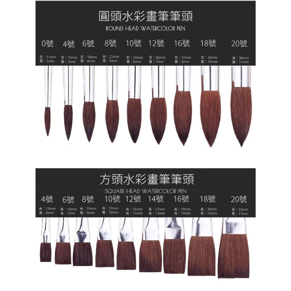 RL生活文具 飛龍 Pentel 台灣產 馬鬃毛水彩畫筆 水粉畫筆 手繪美術 水粉顏料 彩鉛丙烯油畫筆 套裝ZBS1馬鬃-細節圖4