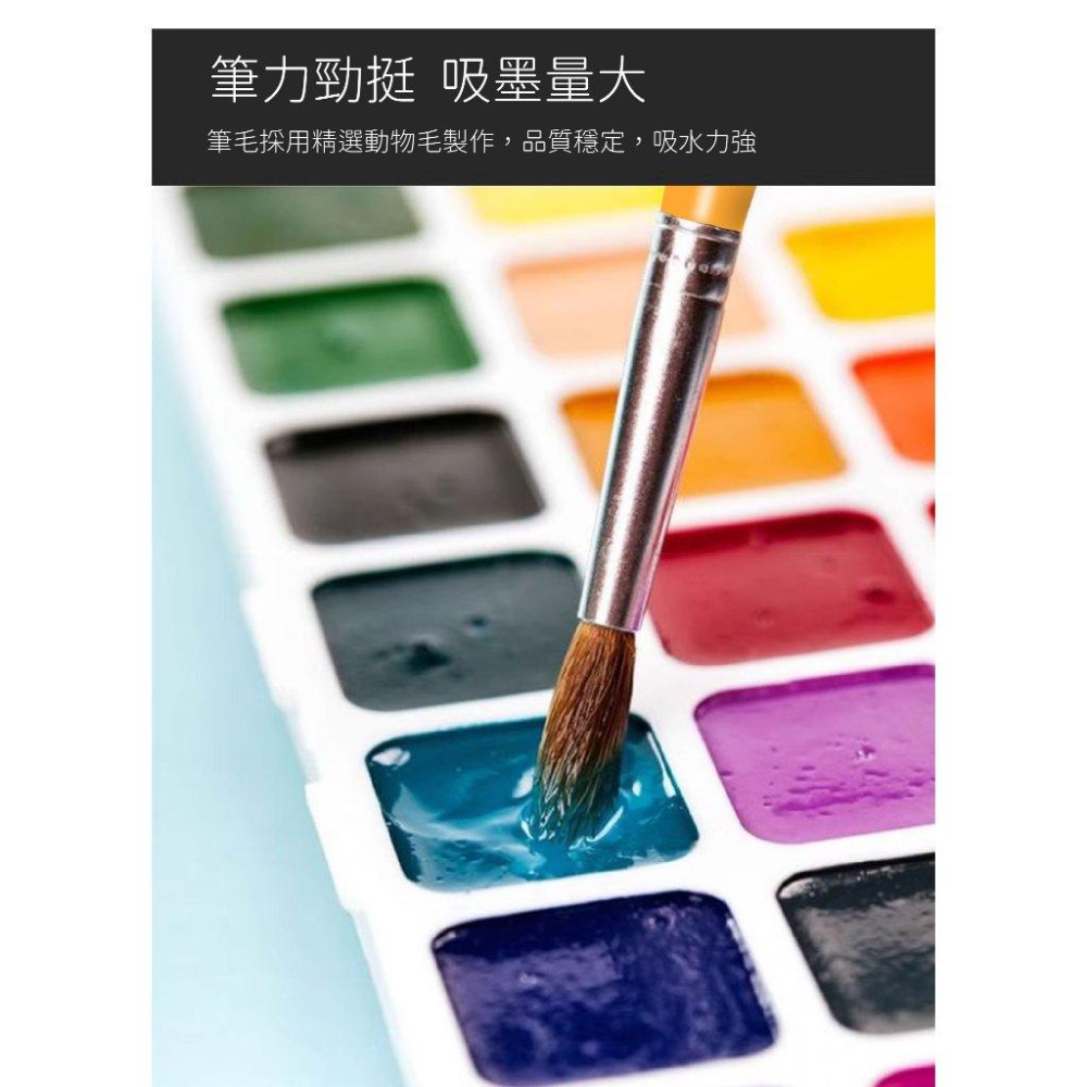 RL生活文具 飛龍 Pentel 台灣產 馬鬃毛水彩畫筆 水粉畫筆 手繪美術 水粉顏料 彩鉛丙烯油畫筆 套裝ZBS1馬鬃-細節圖6