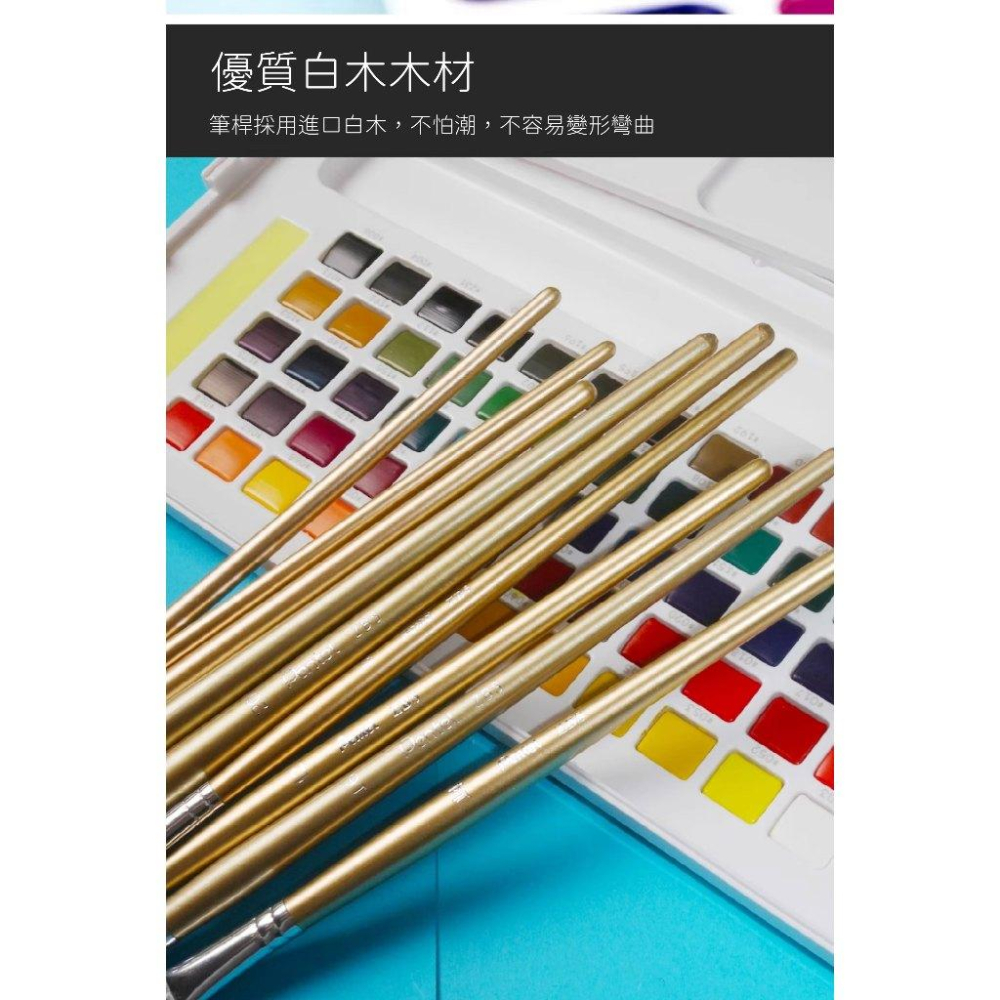 RL生活文具 飛龍 Pentel 台灣產 馬鬃毛水彩畫筆 水粉畫筆 手繪美術 水粉顏料 彩鉛丙烯油畫筆 套裝ZBS1馬鬃-細節圖7