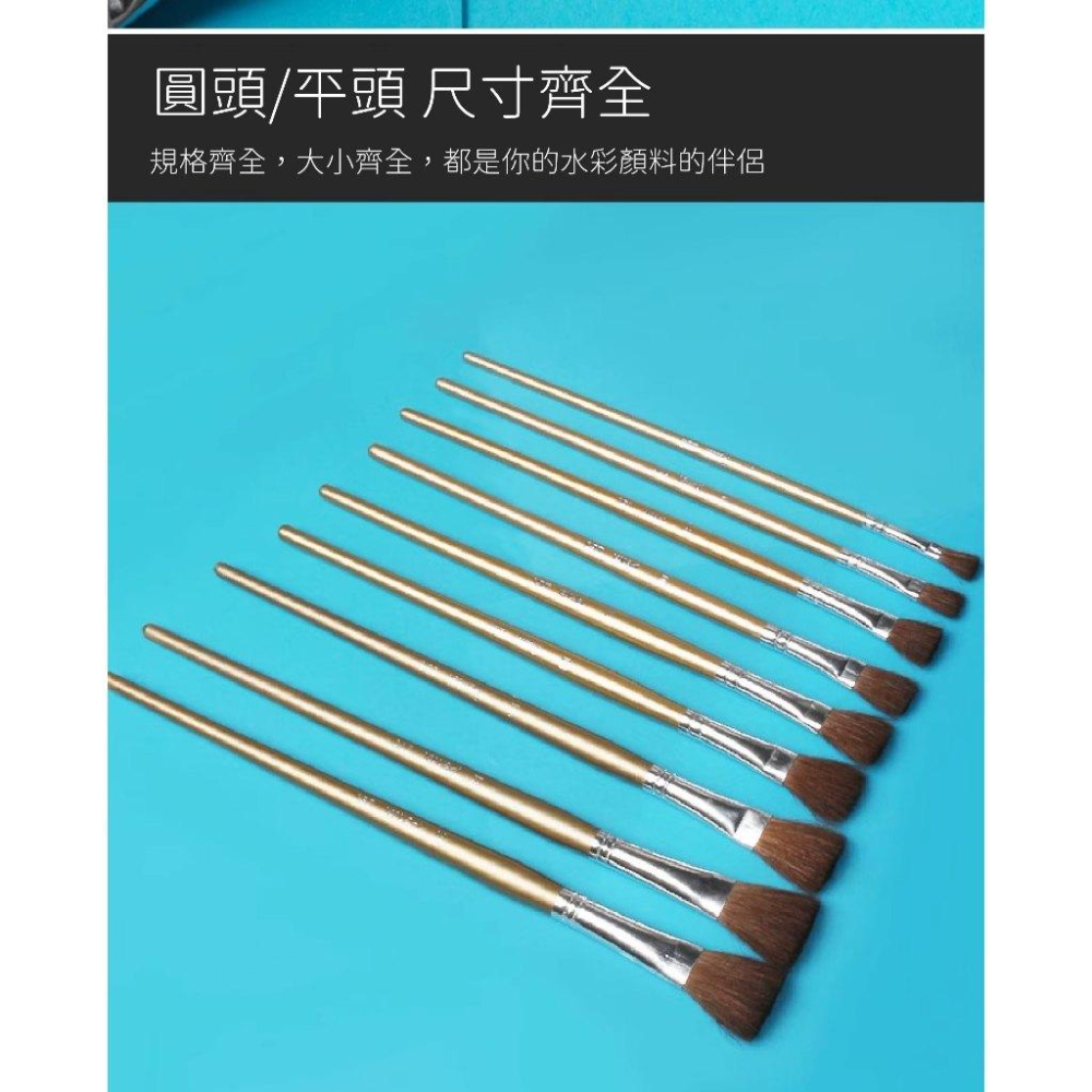RL生活文具 飛龍 Pentel 台灣產 馬鬃毛水彩畫筆 水粉畫筆 手繪美術 水粉顏料 彩鉛丙烯油畫筆 套裝ZBS1馬鬃-細節圖8