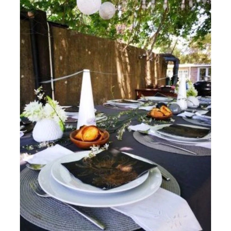 ShooAway 趨蠅神器 露營餐桌必備 澳洲防蠅神器 蒼蠅掰掰 露營趨蠅 餐廳趨蠅 趕蒼蠅神器 露營 戶外-規格圖6