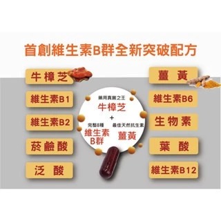 🌿【牛樟芝B群膠囊】提升每日元氣 × 專利配方 × SGS安心認證 牛樟芝 B群 保養聖品 購自 三瘋-細節圖2