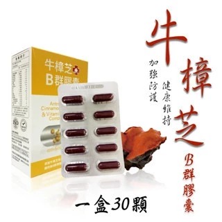 🌿【牛樟芝B群膠囊】提升每日元氣 × 專利配方 × SGS安心認證 牛樟芝 B群 保養聖品 購自 三瘋-細節圖3