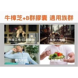 🌿【牛樟芝B群膠囊】提升每日元氣 × 專利配方 × SGS安心認證 牛樟芝 B群 保養聖品 購自 三瘋-細節圖4
