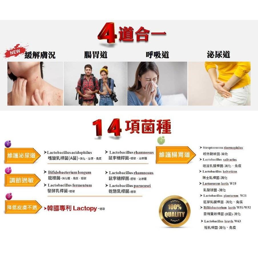 賀麗菌42包/盒 益生菌 買1盒贈1包禾康精油貼布(市價300元) 優惠中-細節圖2