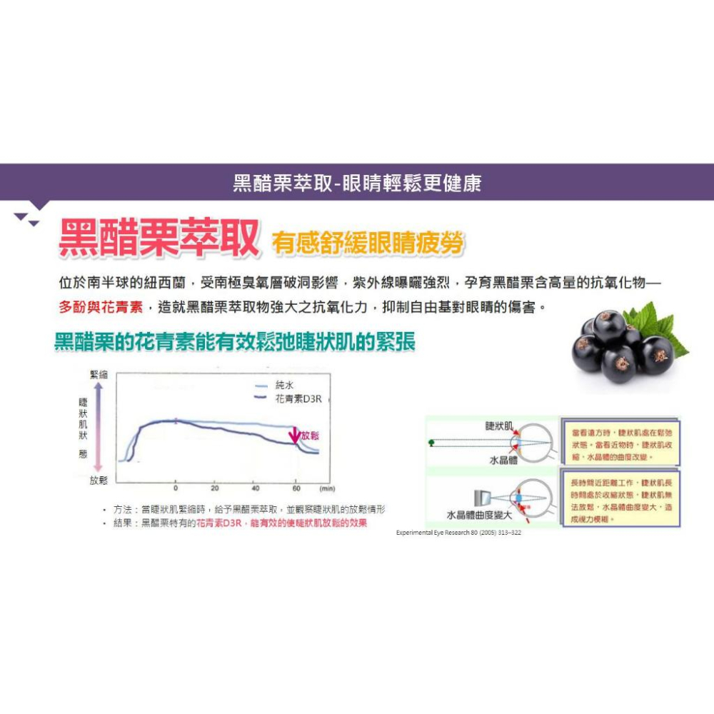 黑醋栗金盞草葉黃素60粒/瓶 黑醋栗萃取、金盞草萃取、巴西苺萃取、山桑子萃取-細節圖8