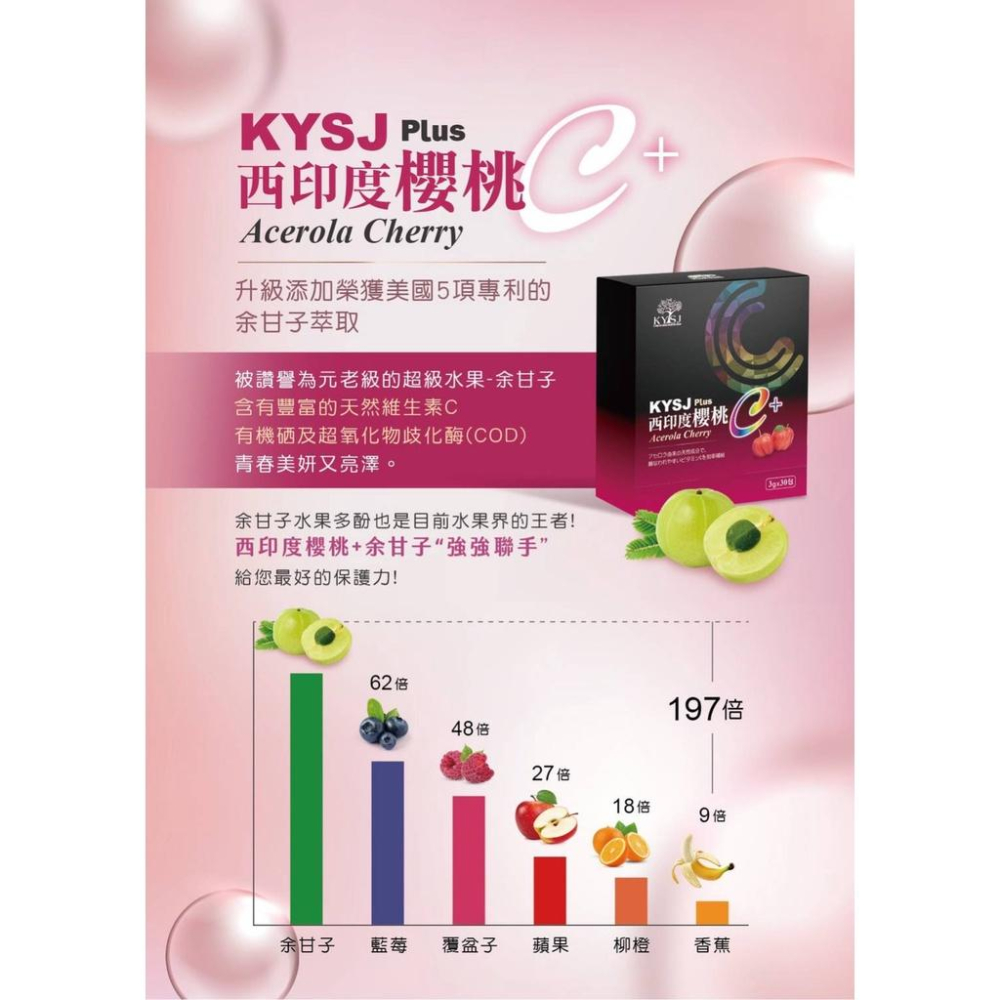 康源行健KYSJ西印度櫻桃維他命C粉30包 添加印度水果余甘子(全新配方) 全新升級版-細節圖2