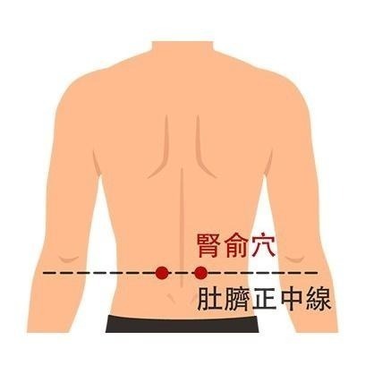 家銨康蜂膠精油貼布(10片裝/包)-細節圖9