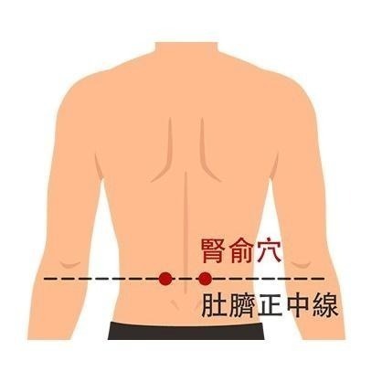 家銨康精油貼布(10片裝/包)-細節圖10