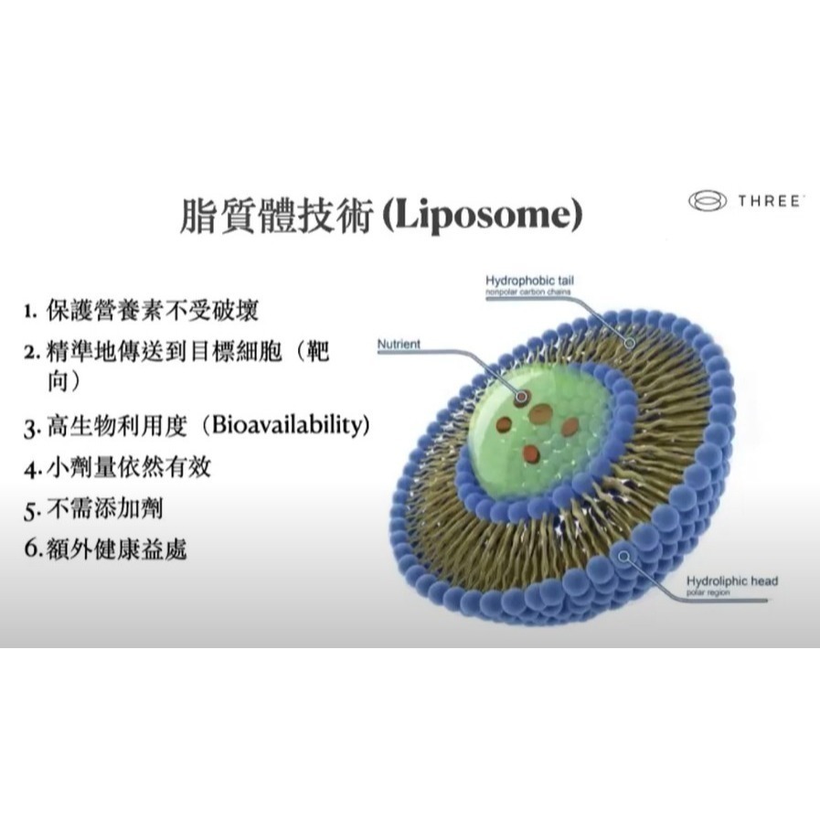 禾康精油貼布及Revive食品內外套組 THREE食品 關節保養 全球專利配方 薑黃 乳香 胡椒鹼 白藜蘆醇 沙棘 皂苷-細節圖3