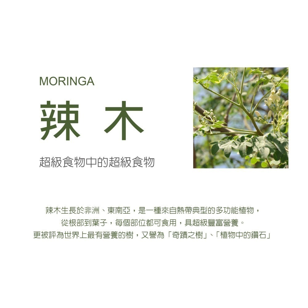 盛德信 辣麼順120錠/罐 辣麼厲害TL＇amour MORINGA 全素-細節圖5