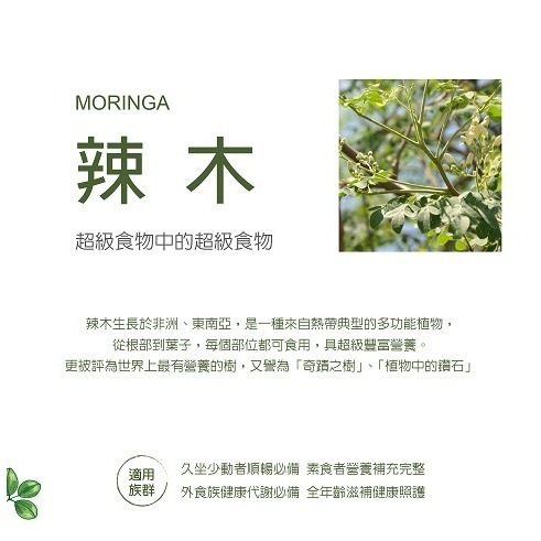 盛德信 辣麼青20包/盒 辣麼厲害TL＇amour MORINGA 全素-細節圖2