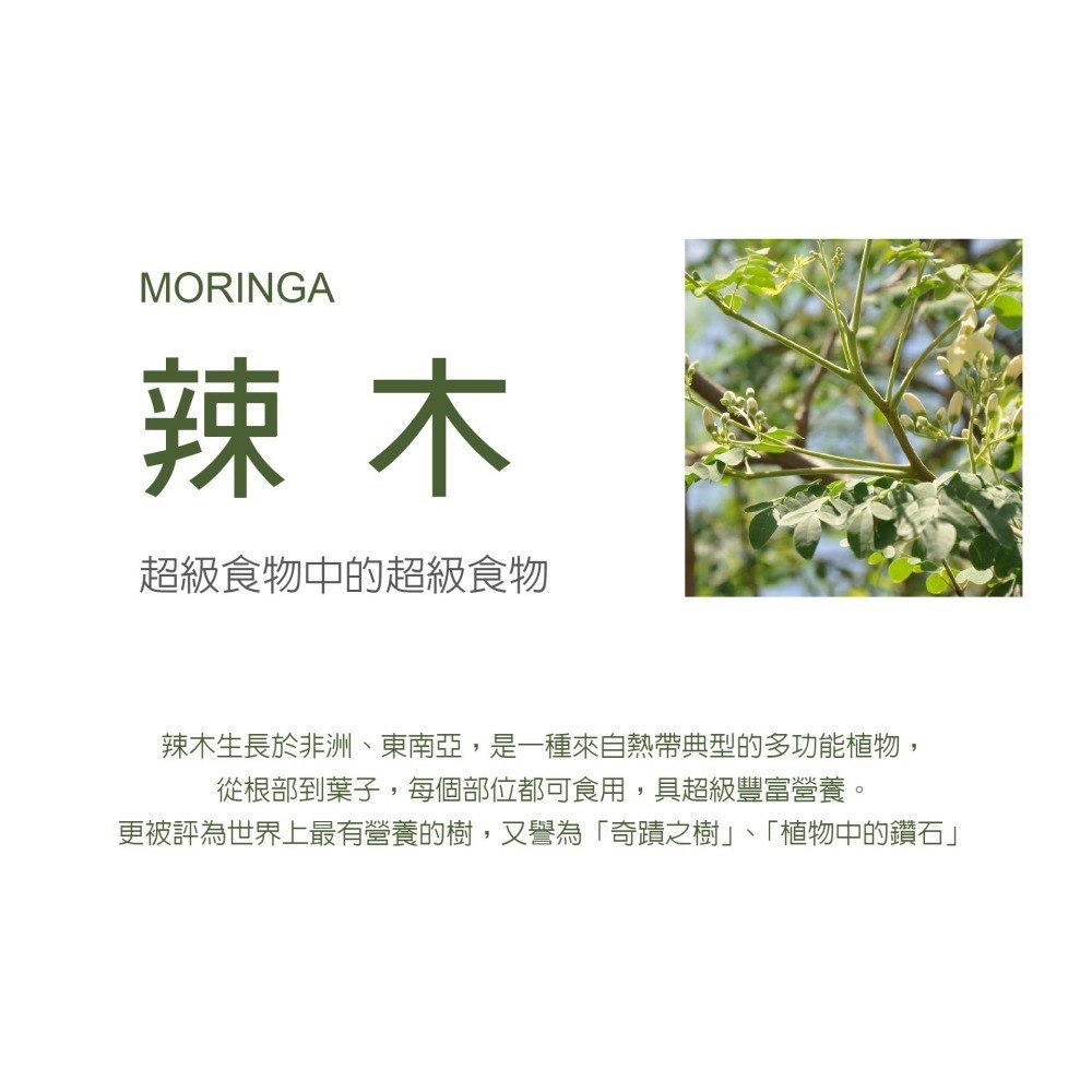 盛德信 辣麼營養20包/盒 辣麼厲害TL＇amour MORINGA 全素-細節圖8