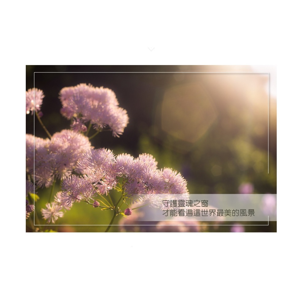 盛德信 智富明30包/盒 605Square枸杞多醣體複方萃取粉劑食品-細節圖8